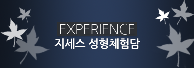 ������ ����ü���